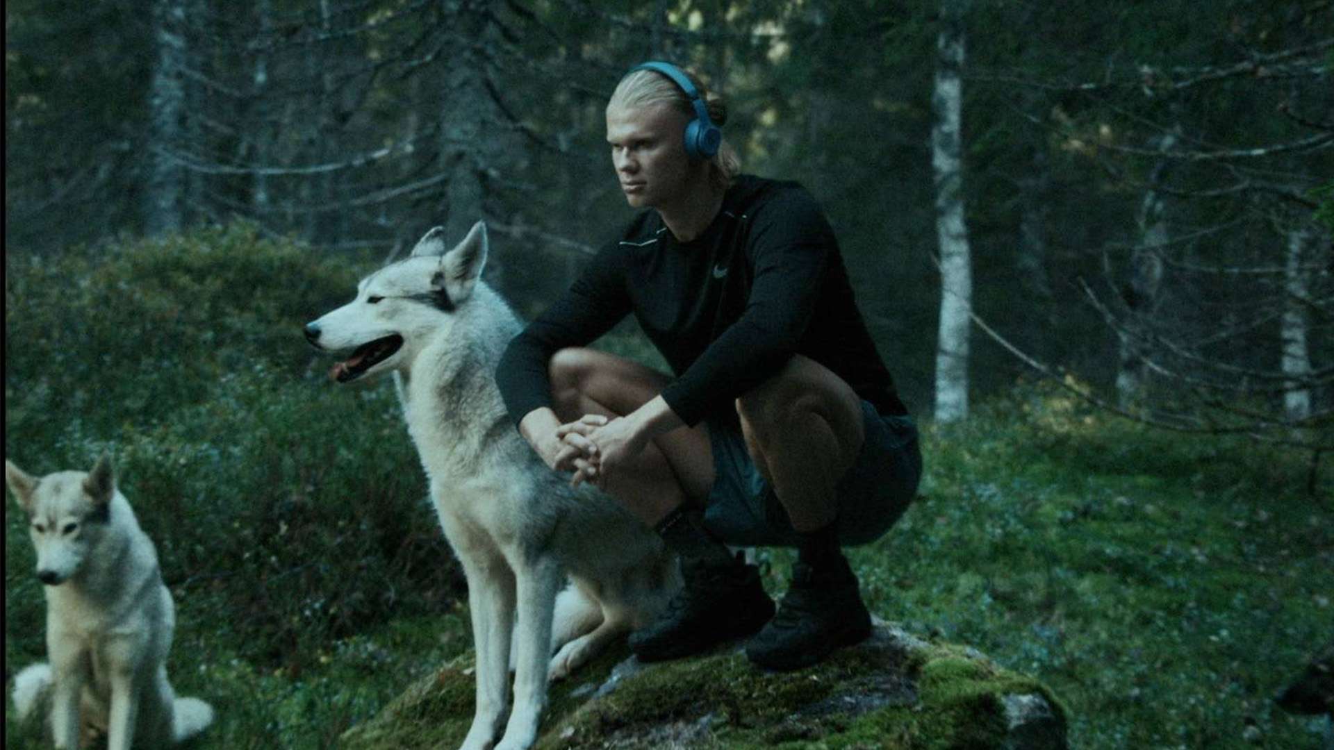 缺乏科学性 缺乏科学性